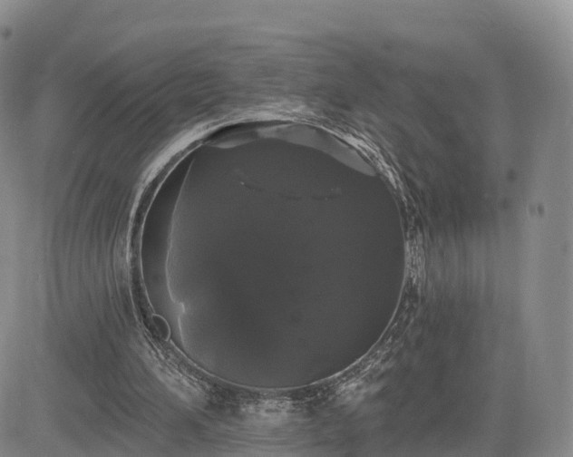 X0000085220196200703161253