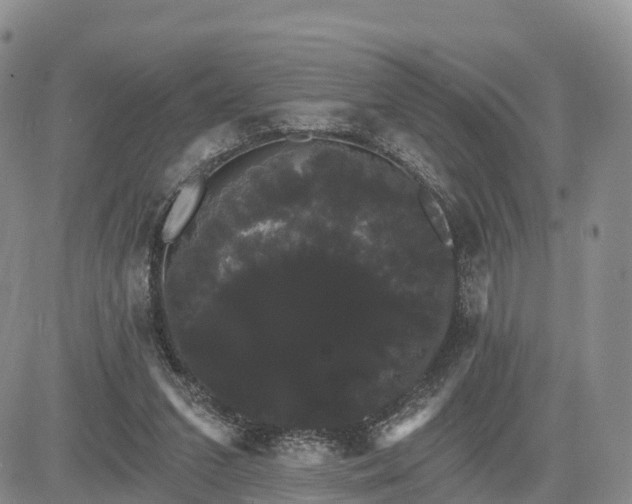 X0000085220207200703161253
