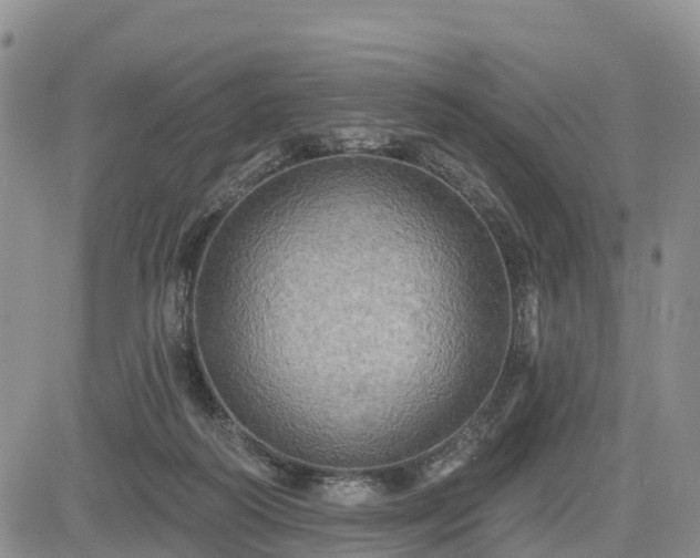 X0000085220218200703161253