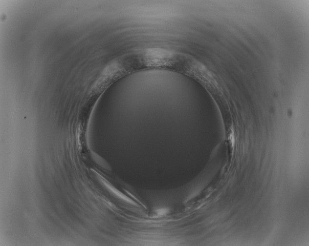 X0000085220219200703161253