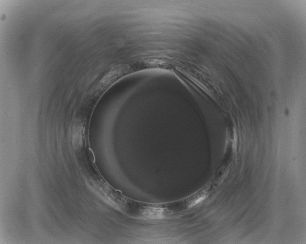 X0000085220227200703161253