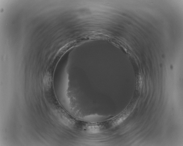 X0000085220228200703161253