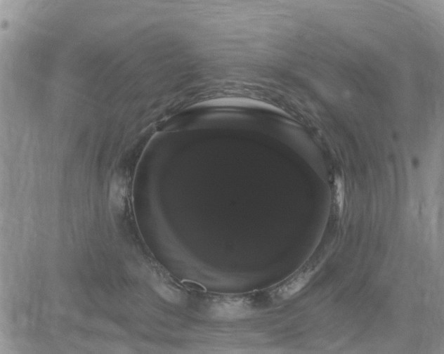 X0000085220235200703161253