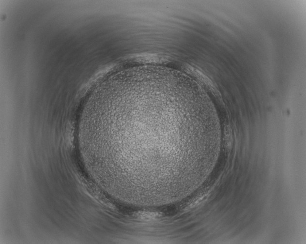 X0000085220255200703161252