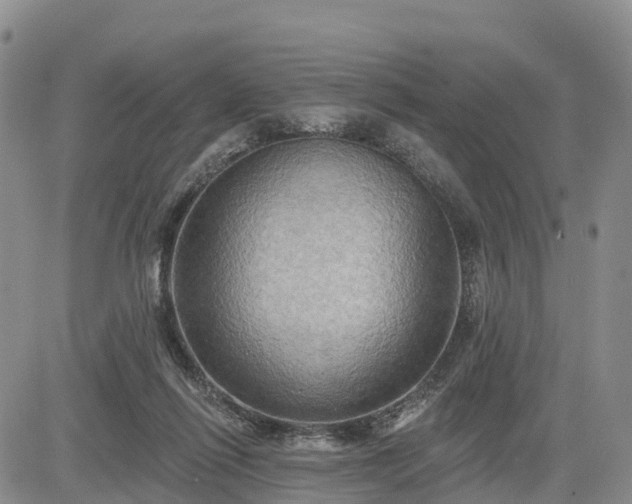 X0000085220262200703161252