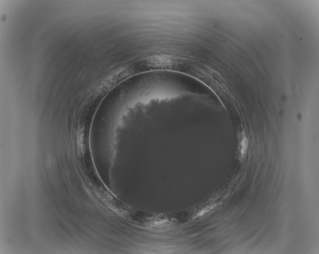X0000085220267200703161252