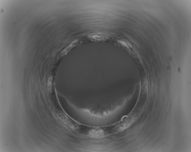 X0000085220271200703161252