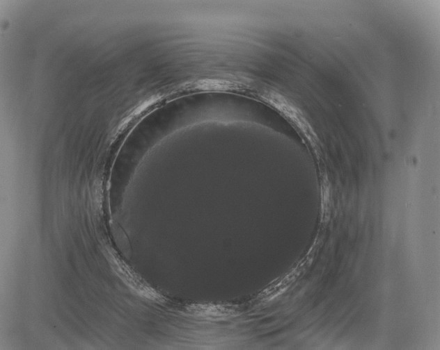 X0000085220297200703161252