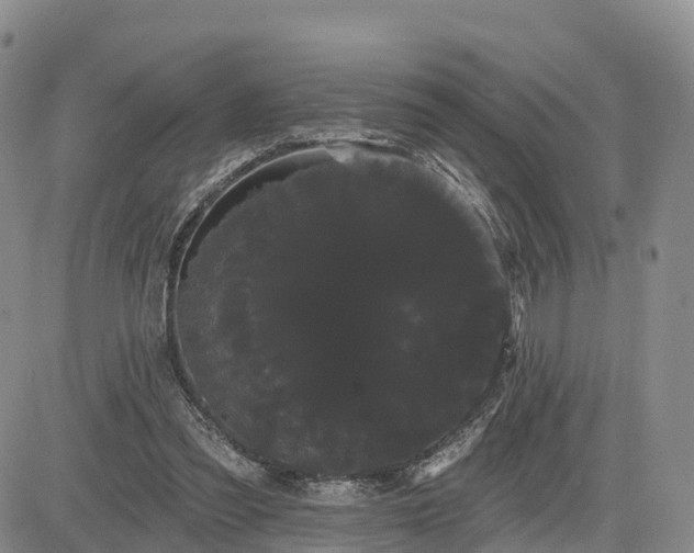 X0000085220301200703161252