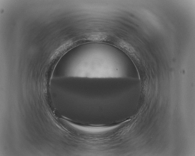 X0000085220303200703161252