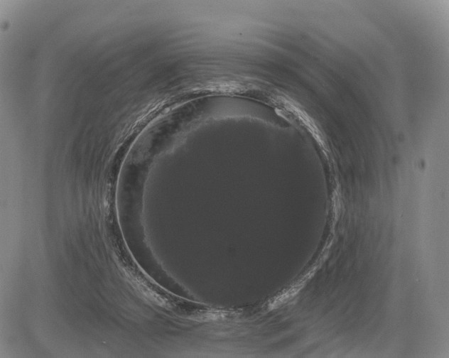 X0000085220305200703161251
