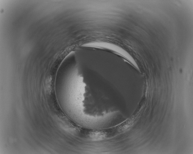 X0000085220319200703161251