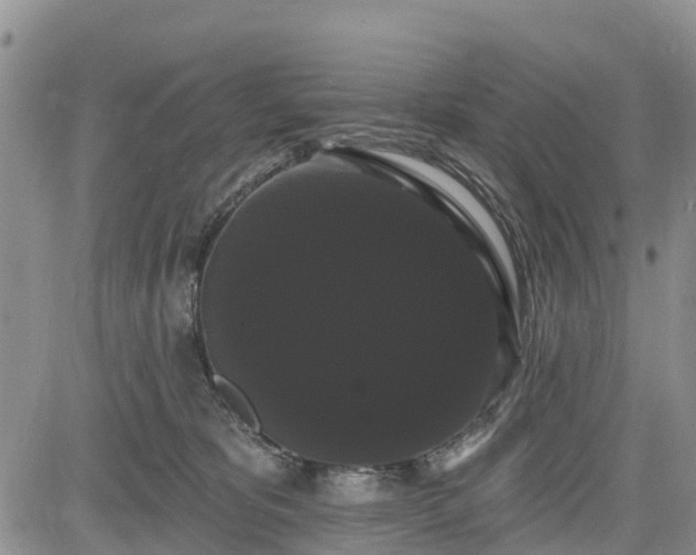 X0000085220325200703161251