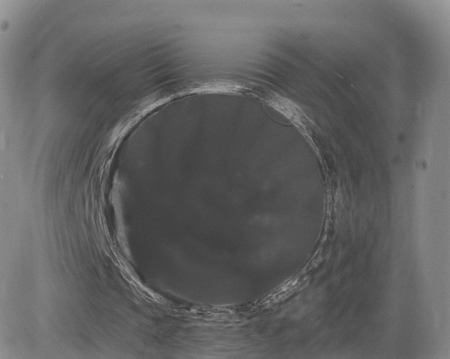 X0000085220337200703161250
