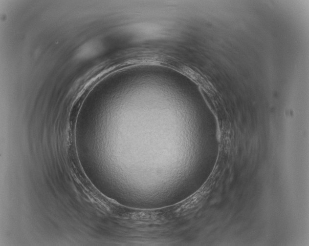 X0000085220338200703161250