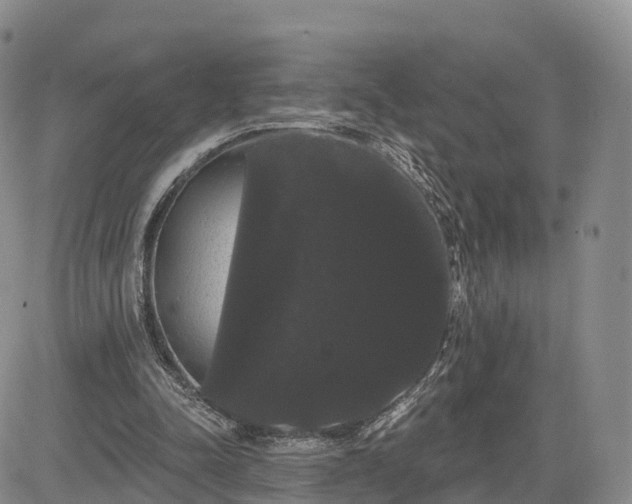 X0000085220342200703161250