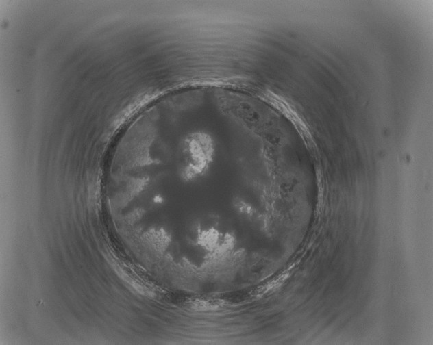 X0000085220346200703161250