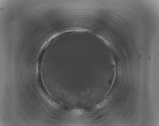 X0000085220350200703161250