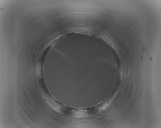 X0000085220359200703161251