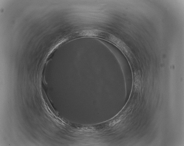 X0000085220386200703161250