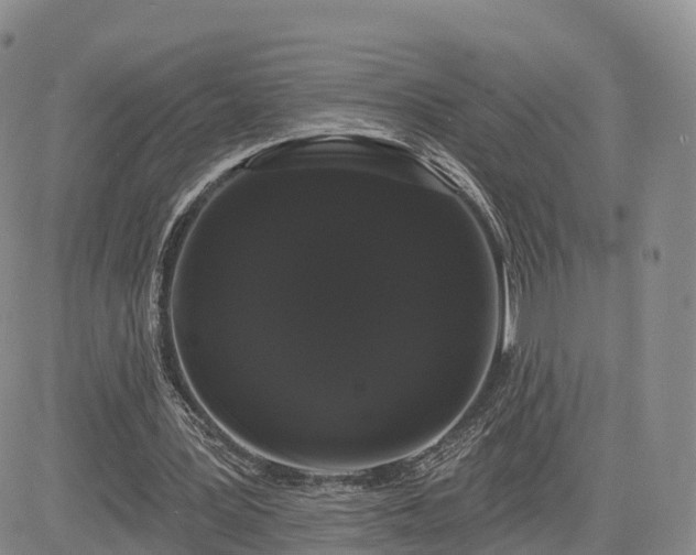 X0000085220387200703161250