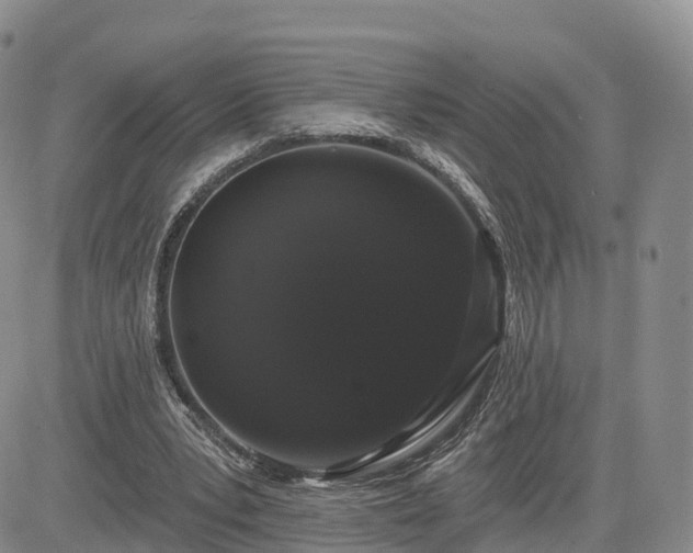 X0000085220391200703161250