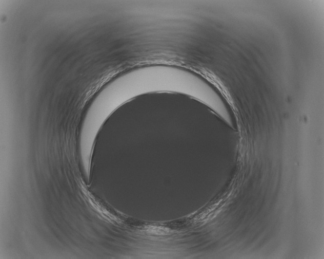 X0000085220393200703161250