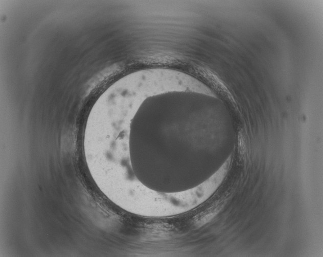 X0000085220396200703161250