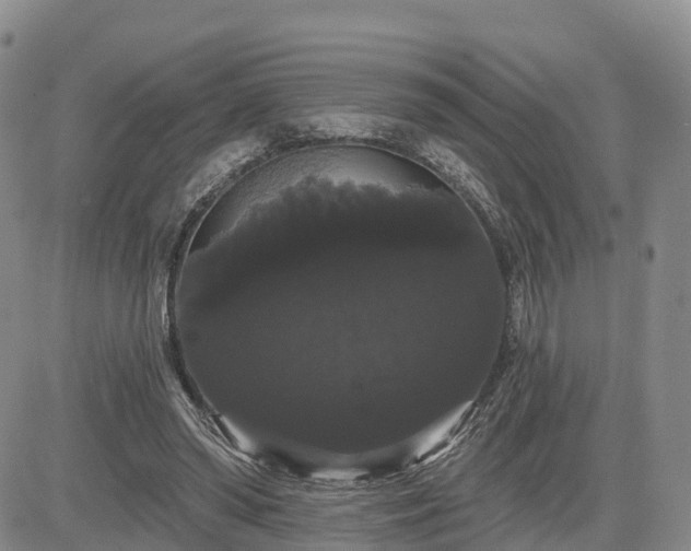 X0000085220398200703161250