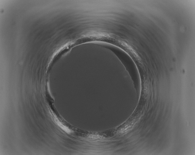 X0000085220399200703161250