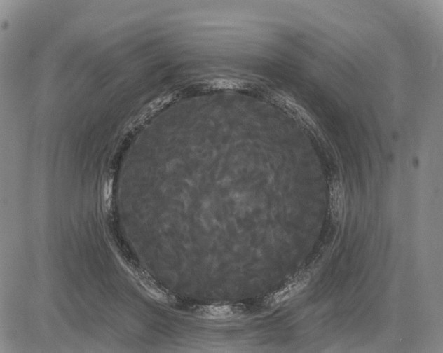 X0000085220406200703161250