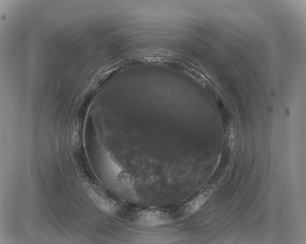 X0000085220408200703161250