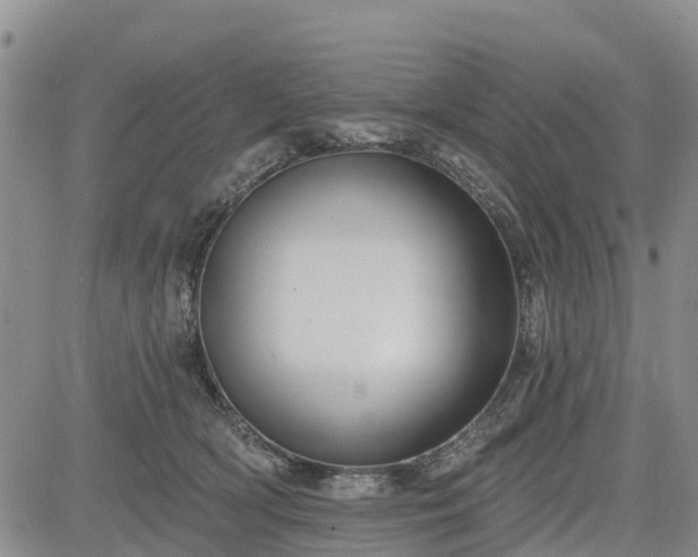 X0000085220418200703161250