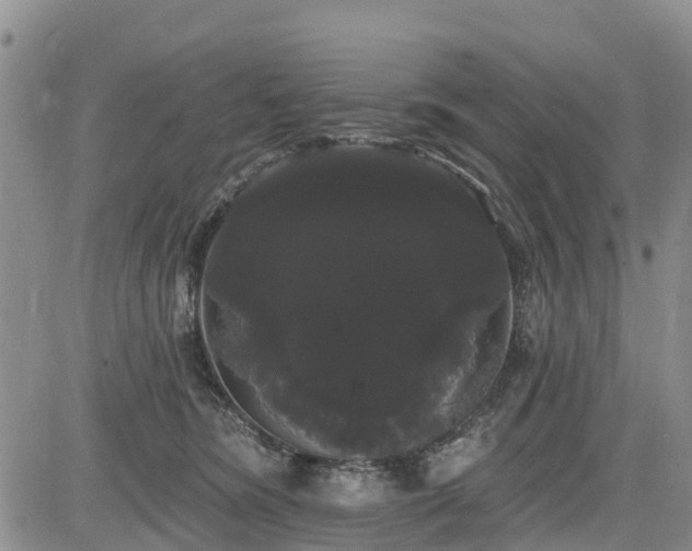 X0000085220420200703161250