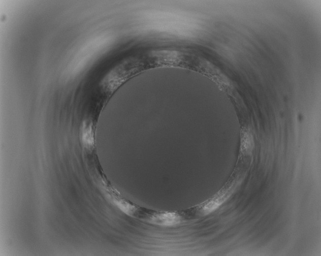 X0000085220431200703161249
