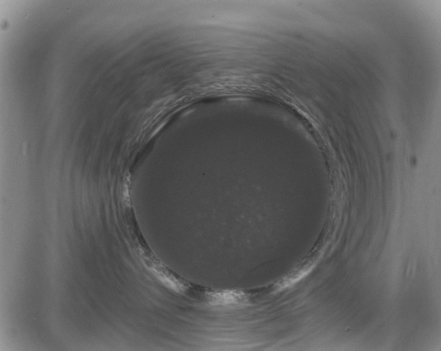 X0000085220432200703161249