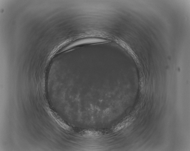 X0000085220442200703161249