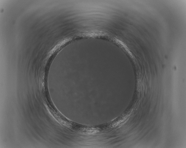 X0000085220443200703161249