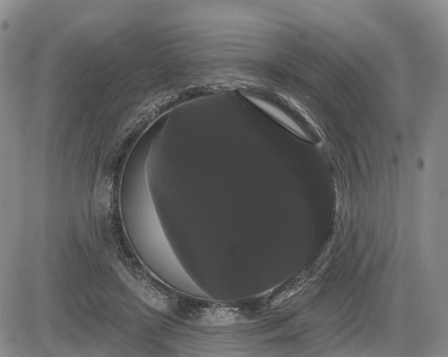 X0000085220451200703161249