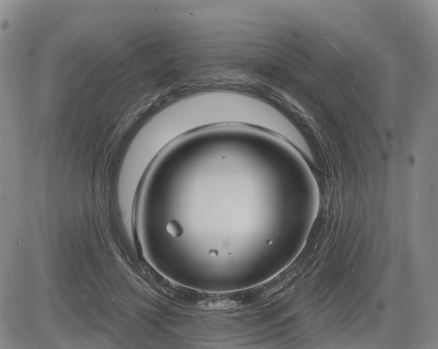 X0000085220452200703161249