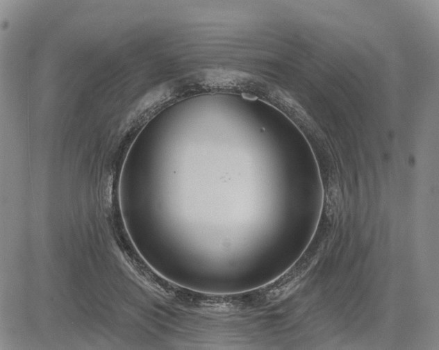 X0000085220454200703161249