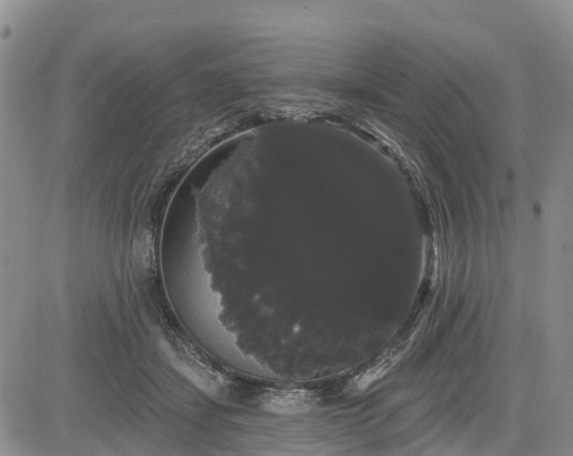 X0000085220459200703161249