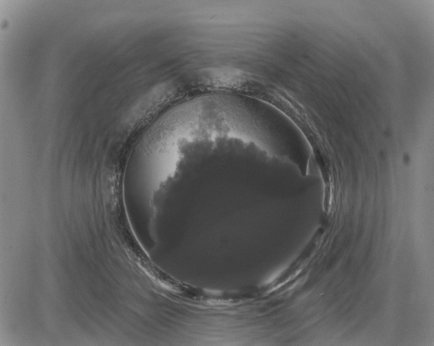 X0000085220462200703161249