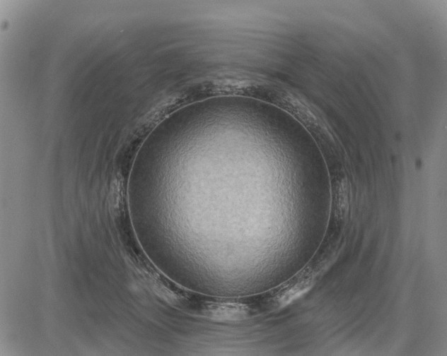 X0000085220463200703161249