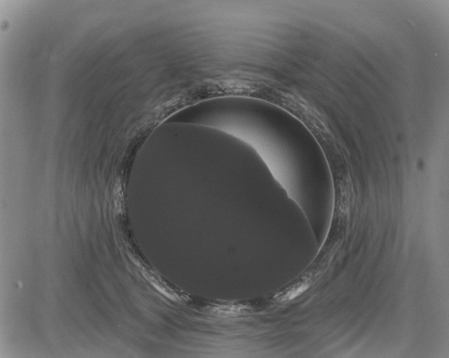 X0000085220465200703161249