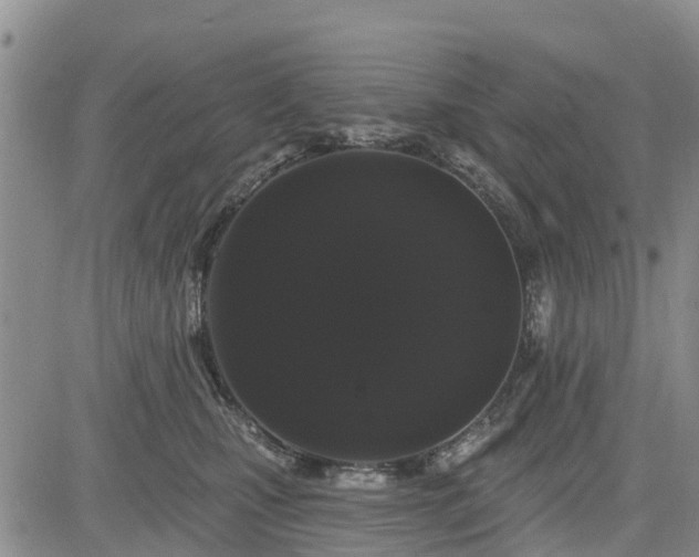 X0000085220471200703161249