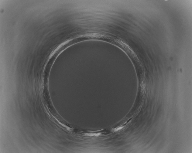 X0000085220484200703161249