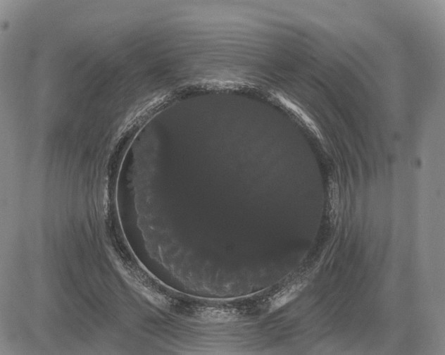 X0000085220494200703161248