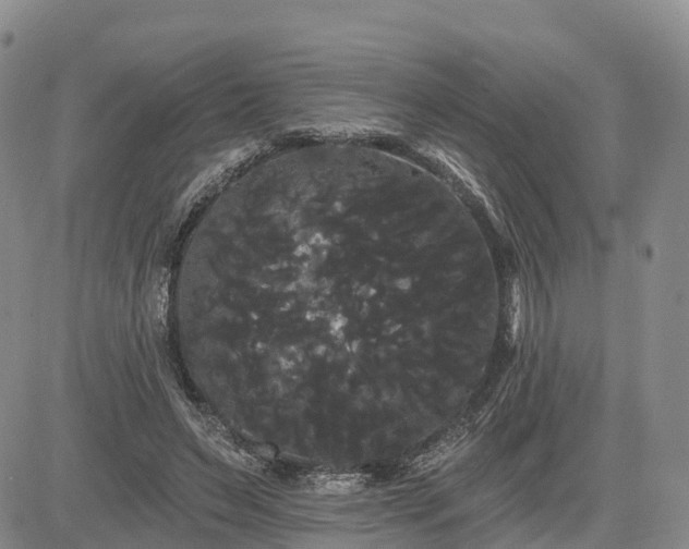 X0000085220495200703161248