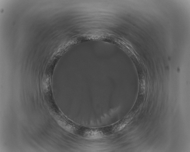 X0000085220503200703161248